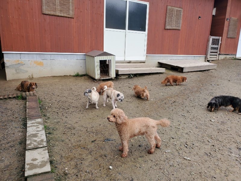 f:id:roukenhome-ann:20191029193440j:plain f:id:roukenhome-ann:20191029193440j:plain