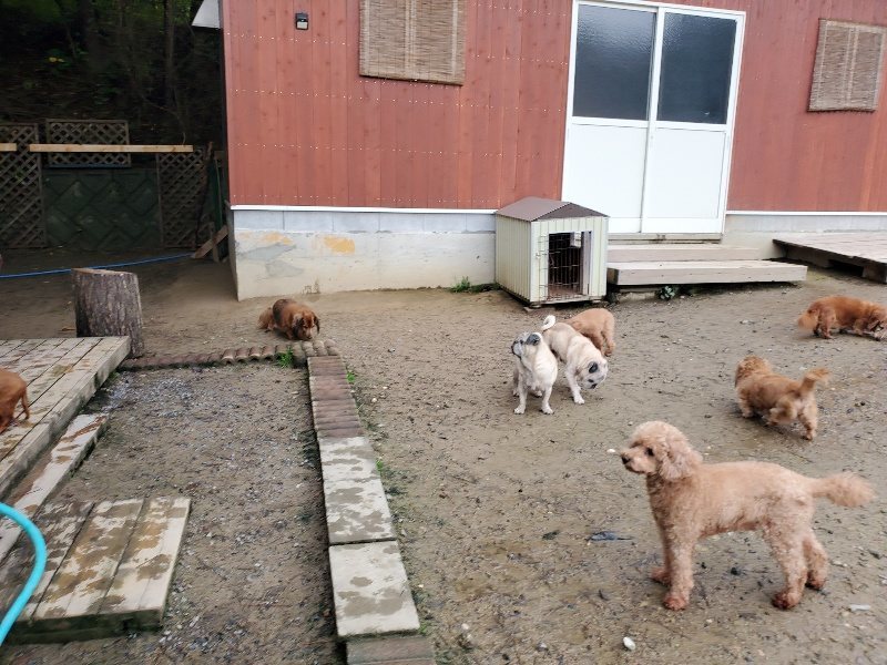 f:id:roukenhome-ann:20191029193450j:plain f:id:roukenhome-ann:20191029193450j:plain