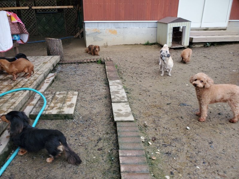 f:id:roukenhome-ann:20191029193459j:plain f:id:roukenhome-ann:20191029193459j:plain