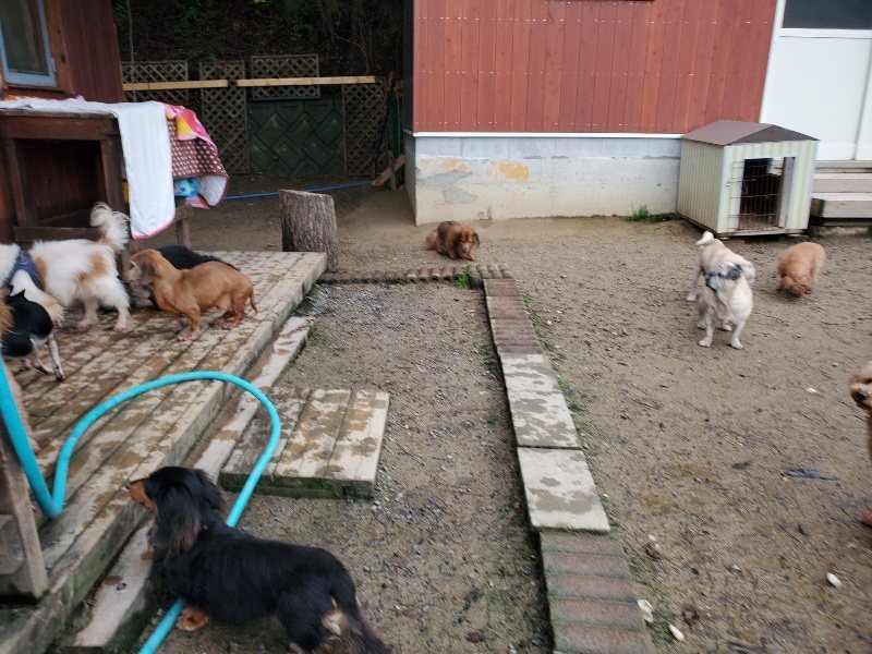 f:id:roukenhome-ann:20191029193509j:plain f:id:roukenhome-ann:20191029193509j:plain