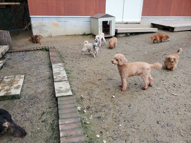 f:id:roukenhome-ann:20191029193521j:plain f:id:roukenhome-ann:20191029193521j:plain