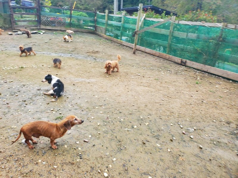 f:id:roukenhome-ann:20191029193538j:plain f:id:roukenhome-ann:20191029193538j:plain