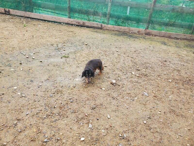 f:id:roukenhome-ann:20191029193616j:plain f:id:roukenhome-ann:20191029193616j:plain