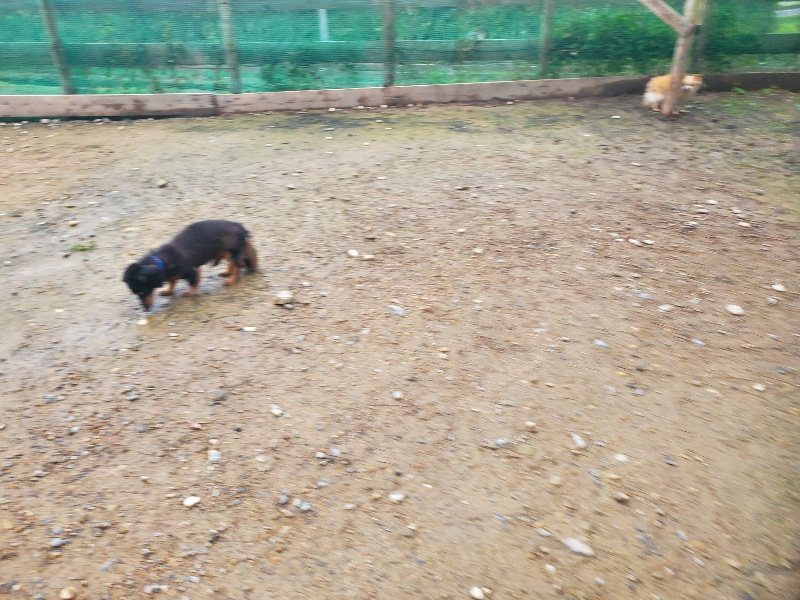 f:id:roukenhome-ann:20191029193624j:plain f:id:roukenhome-ann:20191029193624j:plain