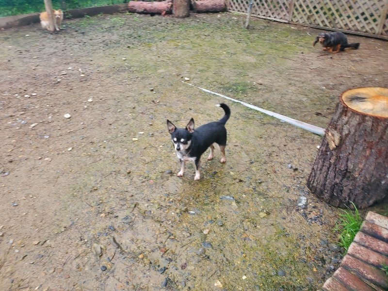 f:id:roukenhome-ann:20191029193645j:plain f:id:roukenhome-ann:20191029193645j:plain