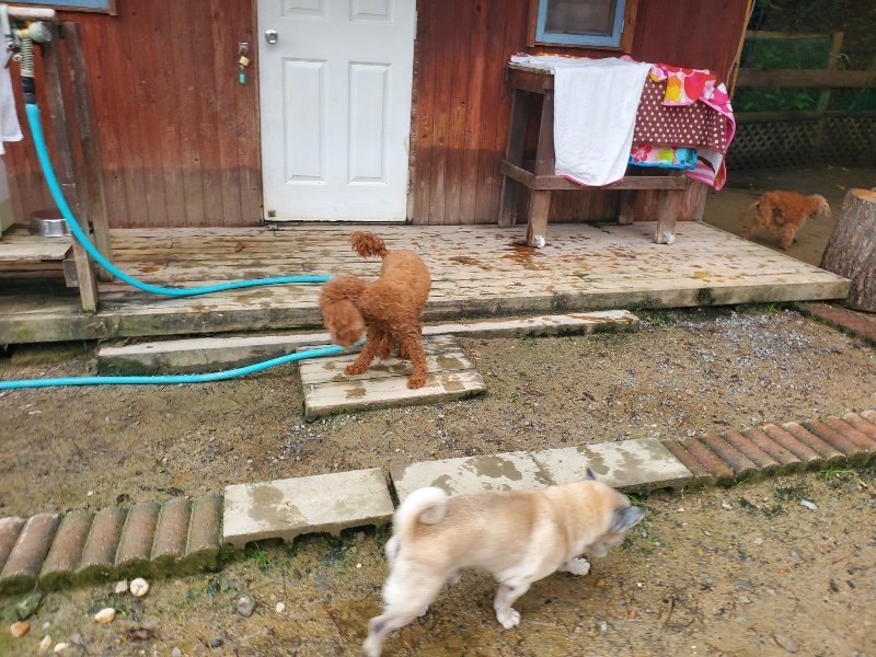 f:id:roukenhome-ann:20191029193717j:plain f:id:roukenhome-ann:20191029193717j:plain