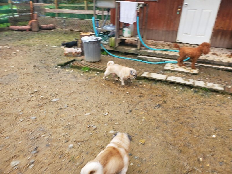 f:id:roukenhome-ann:20191029193729j:plain f:id:roukenhome-ann:20191029193729j:plain