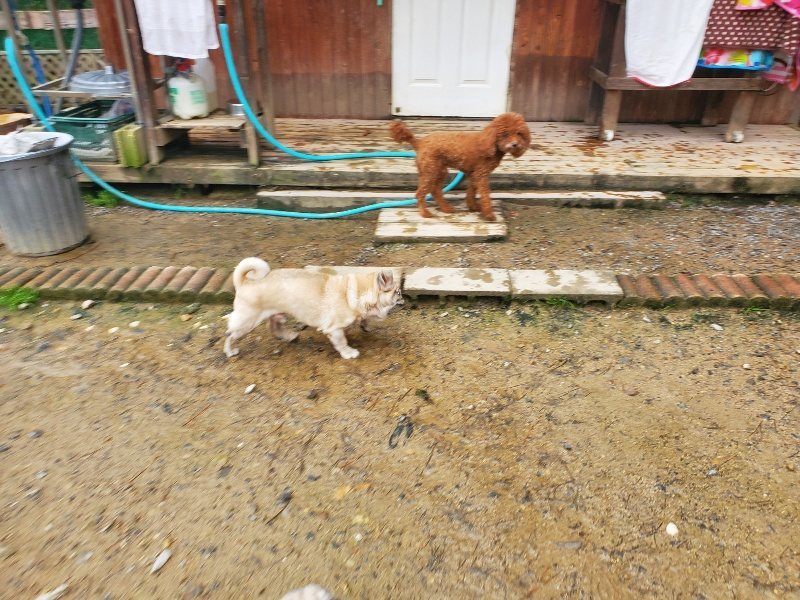f:id:roukenhome-ann:20191029193754j:plain f:id:roukenhome-ann:20191029193754j:plain