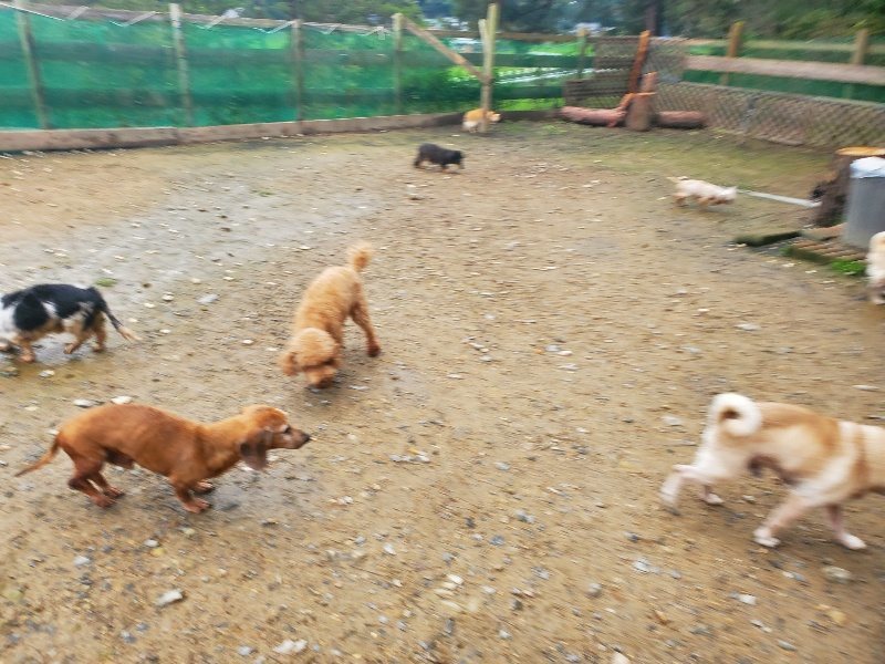 f:id:roukenhome-ann:20191029193802j:plain f:id:roukenhome-ann:20191029193802j:plain