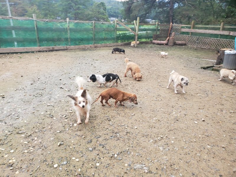 f:id:roukenhome-ann:20191029193821j:plain f:id:roukenhome-ann:20191029193821j:plain