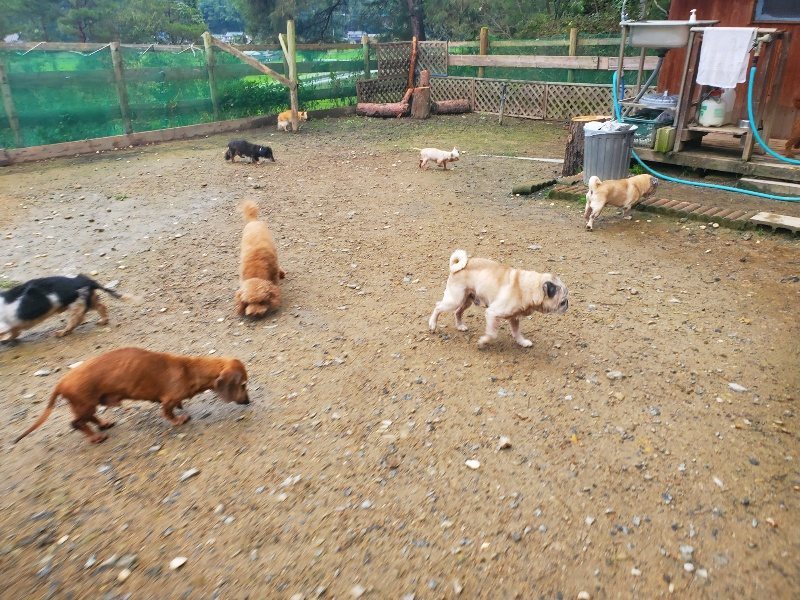 f:id:roukenhome-ann:20191029193833j:plain f:id:roukenhome-ann:20191029193833j:plain