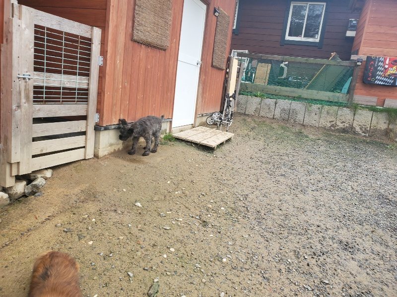 f:id:roukenhome-ann:20191029193857j:plain f:id:roukenhome-ann:20191029193857j:plain