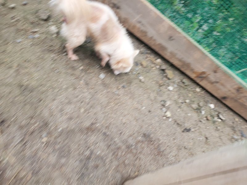 f:id:roukenhome-ann:20191029194251j:plain f:id:roukenhome-ann:20191029194251j:plain