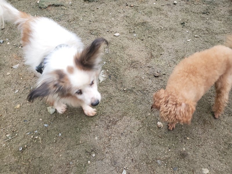 f:id:roukenhome-ann:20191029194320j:plain f:id:roukenhome-ann:20191029194320j:plain