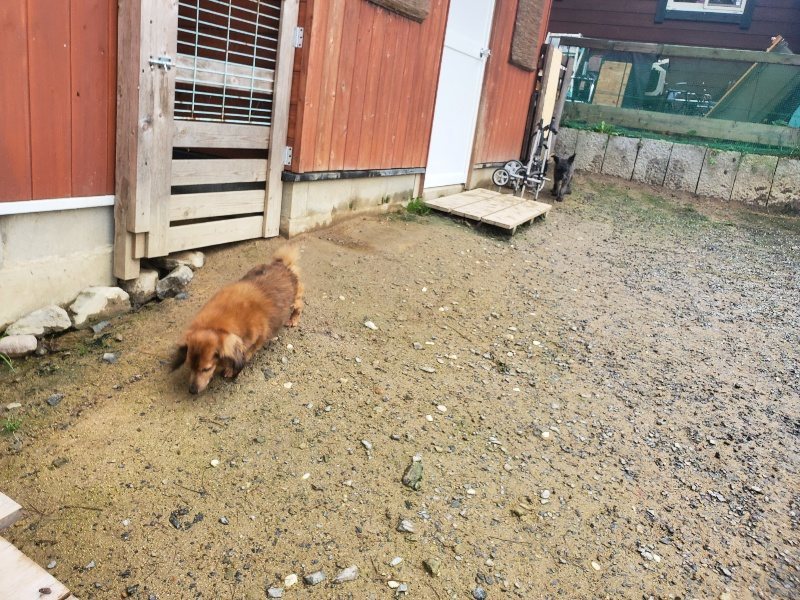 f:id:roukenhome-ann:20191029194348j:plain f:id:roukenhome-ann:20191029194348j:plain