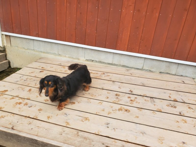 f:id:roukenhome-ann:20191029194356j:plain f:id:roukenhome-ann:20191029194356j:plain