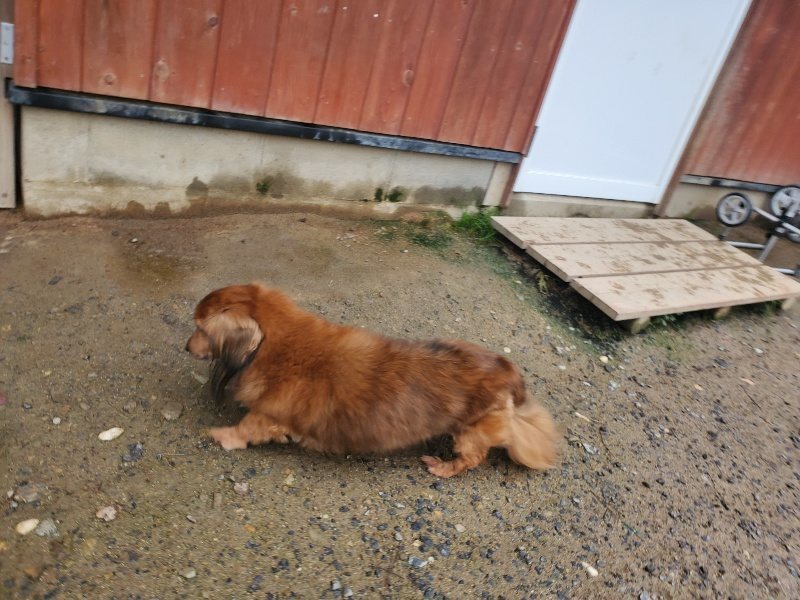 f:id:roukenhome-ann:20191029194417j:plain f:id:roukenhome-ann:20191029194417j:plain