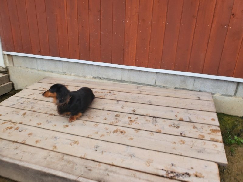 f:id:roukenhome-ann:20191029194428j:plain f:id:roukenhome-ann:20191029194428j:plain