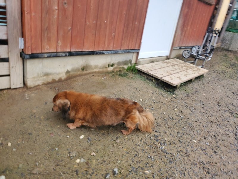 f:id:roukenhome-ann:20191029194442j:plain f:id:roukenhome-ann:20191029194442j:plain