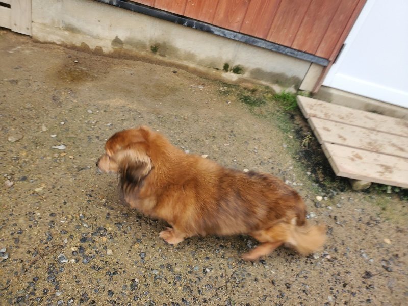f:id:roukenhome-ann:20191029194450j:plain f:id:roukenhome-ann:20191029194450j:plain