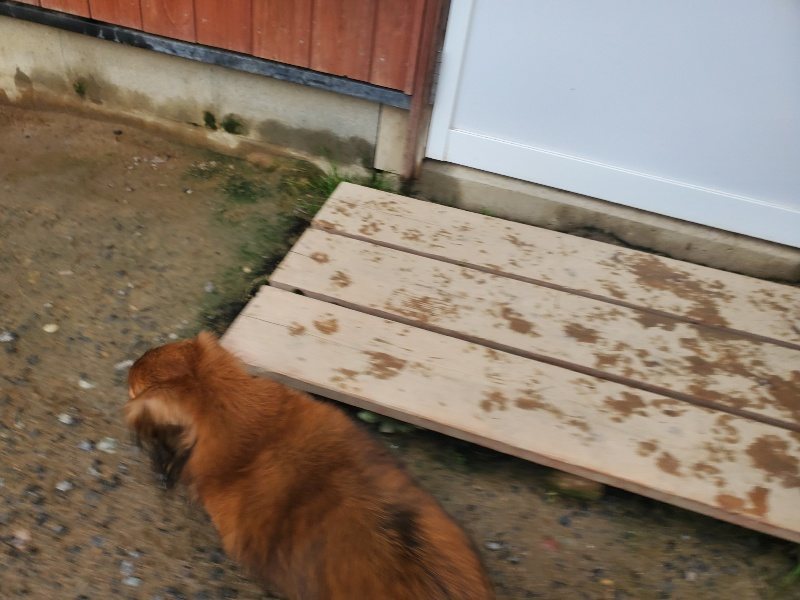 f:id:roukenhome-ann:20191029194502j:plain f:id:roukenhome-ann:20191029194502j:plain