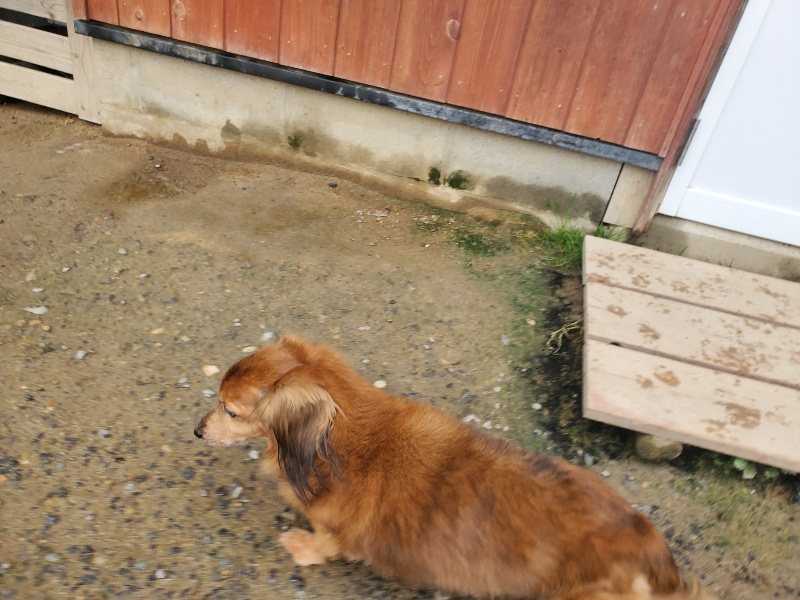f:id:roukenhome-ann:20191029194509j:plain f:id:roukenhome-ann:20191029194509j:plain