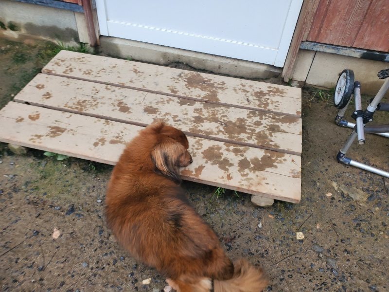 f:id:roukenhome-ann:20191029194520j:plain f:id:roukenhome-ann:20191029194520j:plain