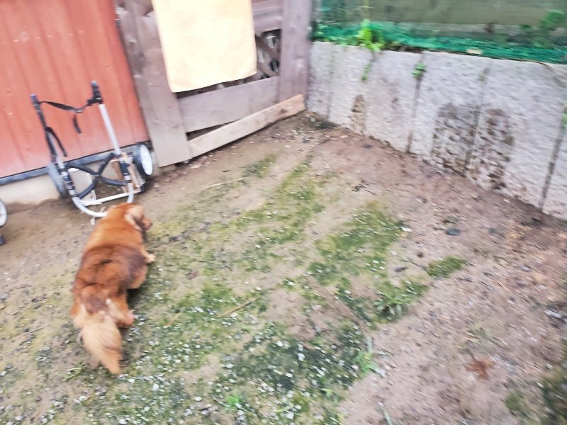 f:id:roukenhome-ann:20191029194533j:plain f:id:roukenhome-ann:20191029194533j:plain