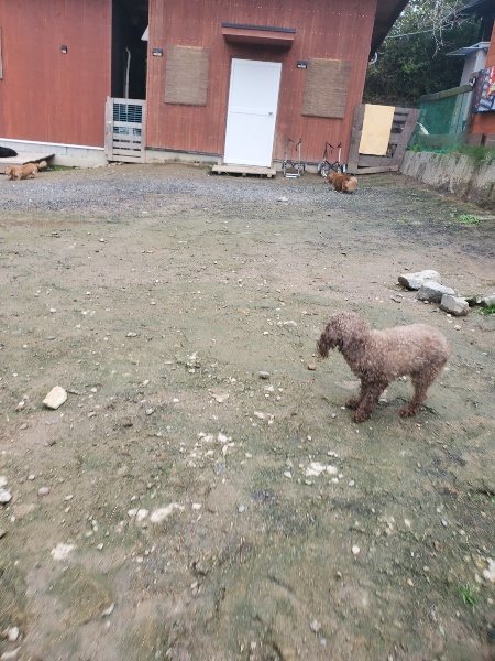 f:id:roukenhome-ann:20191029194710j:plain f:id:roukenhome-ann:20191029194710j:plain