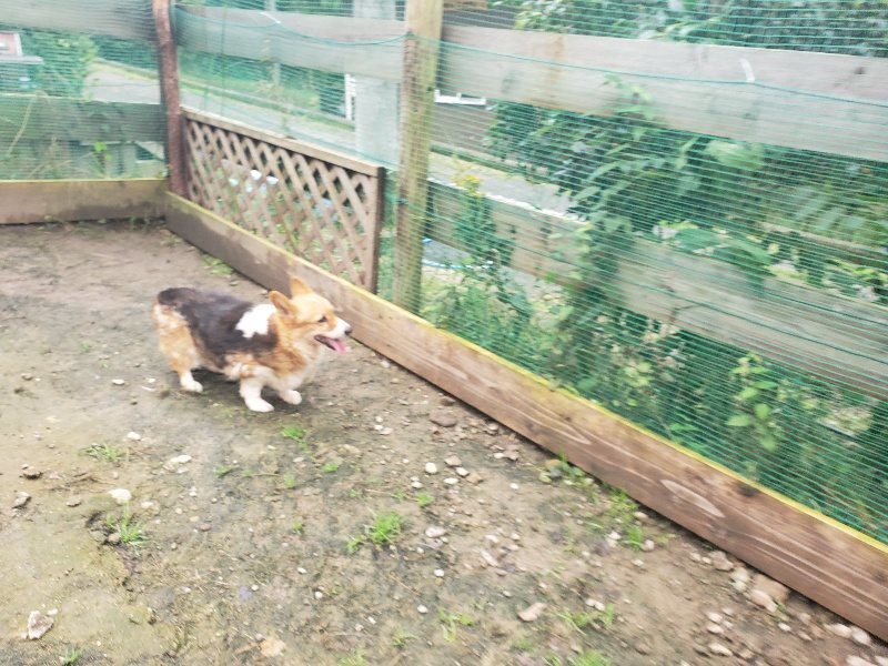 f:id:roukenhome-ann:20191029194746j:plain f:id:roukenhome-ann:20191029194746j:plain