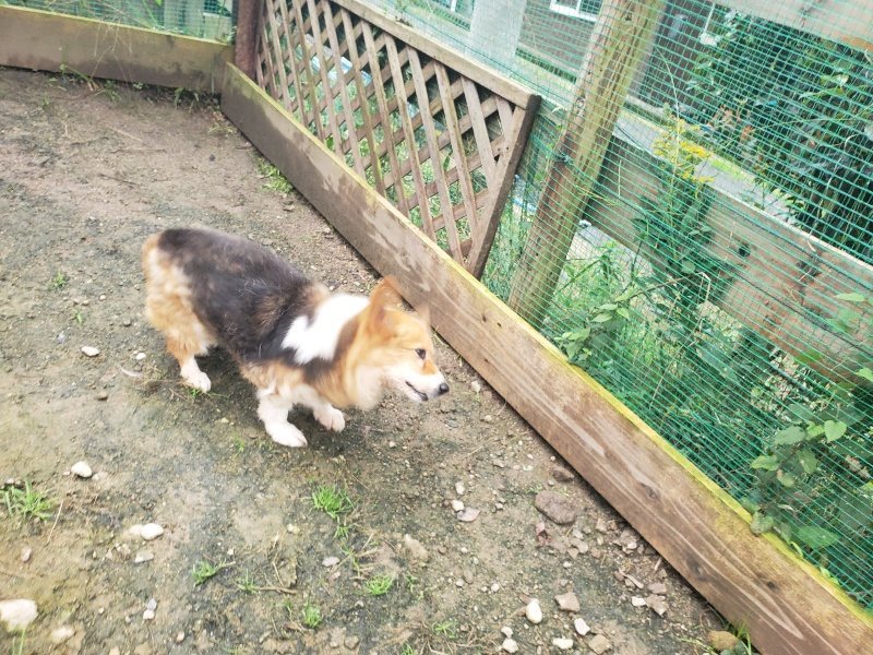 f:id:roukenhome-ann:20191029194804j:plain f:id:roukenhome-ann:20191029194804j:plain