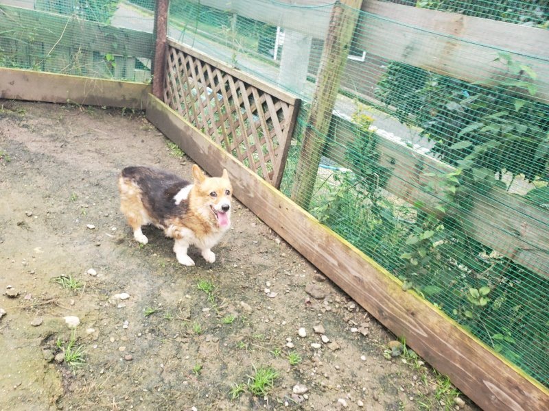 f:id:roukenhome-ann:20191029194815j:plain f:id:roukenhome-ann:20191029194815j:plain