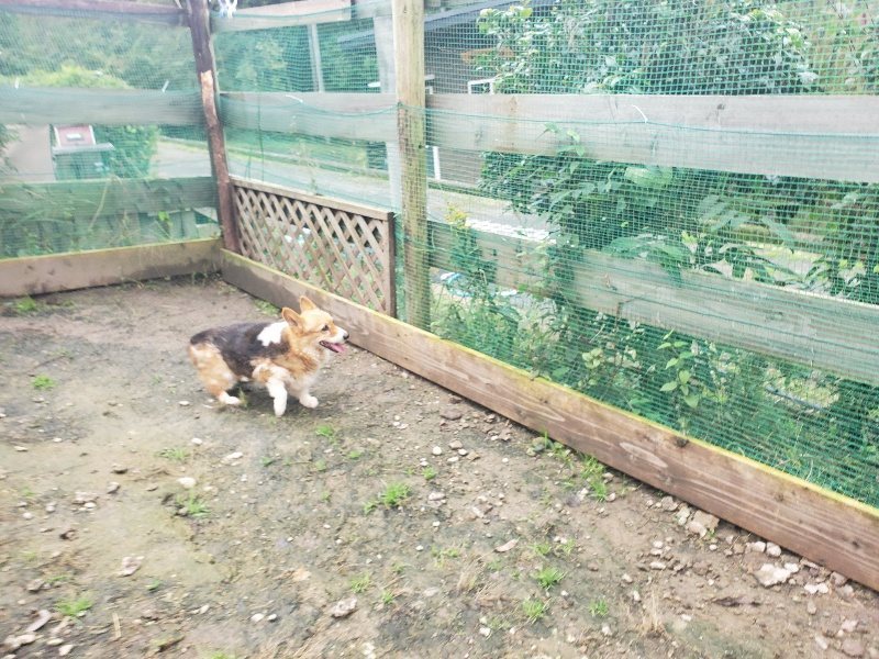 f:id:roukenhome-ann:20191029194826j:plain f:id:roukenhome-ann:20191029194826j:plain