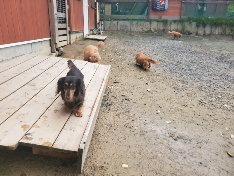 f:id:roukenhome-ann:20191029200209j:plain f:id:roukenhome-ann:20191029200209j:plain