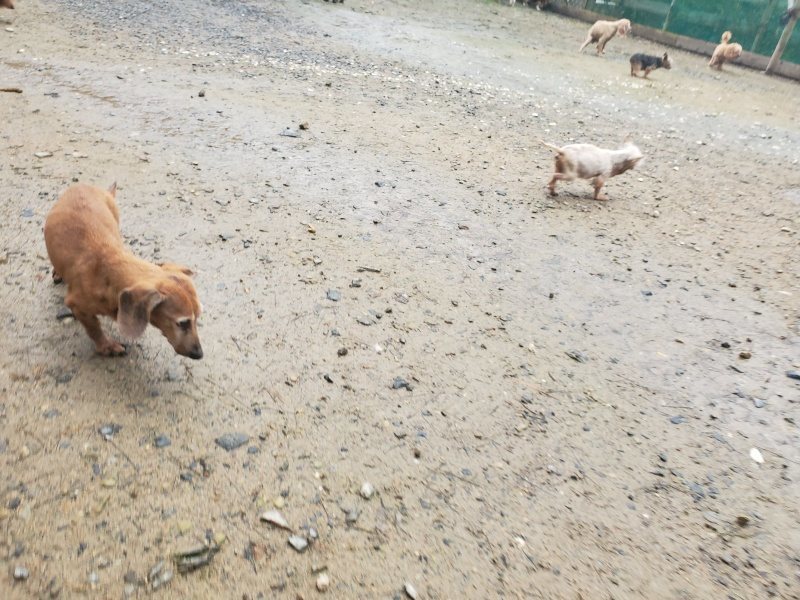 f:id:roukenhome-ann:20191029200225j:plain f:id:roukenhome-ann:20191029200225j:plain