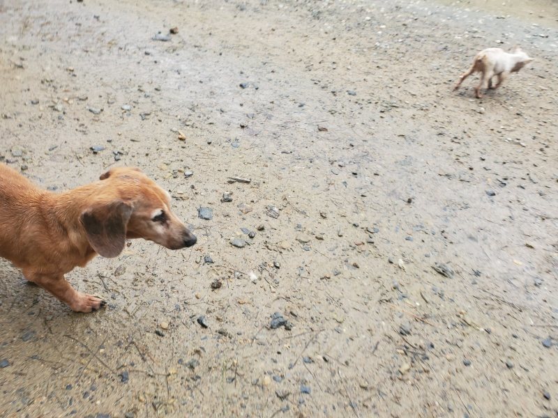 f:id:roukenhome-ann:20191029200243j:plain f:id:roukenhome-ann:20191029200243j:plain