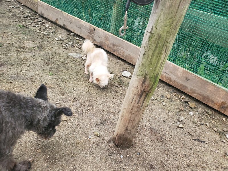 f:id:roukenhome-ann:20191029200337j:plain f:id:roukenhome-ann:20191029200337j:plain