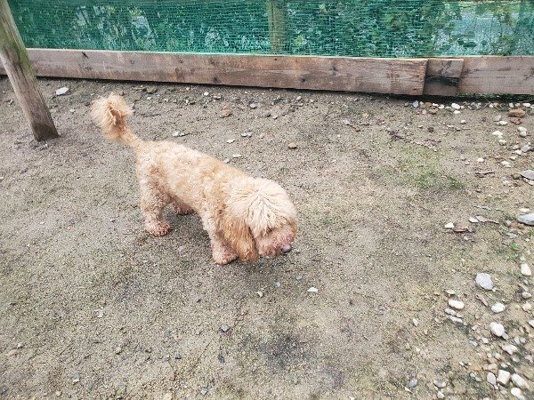 f:id:roukenhome-ann:20191029200357j:plain f:id:roukenhome-ann:20191029200357j:plain