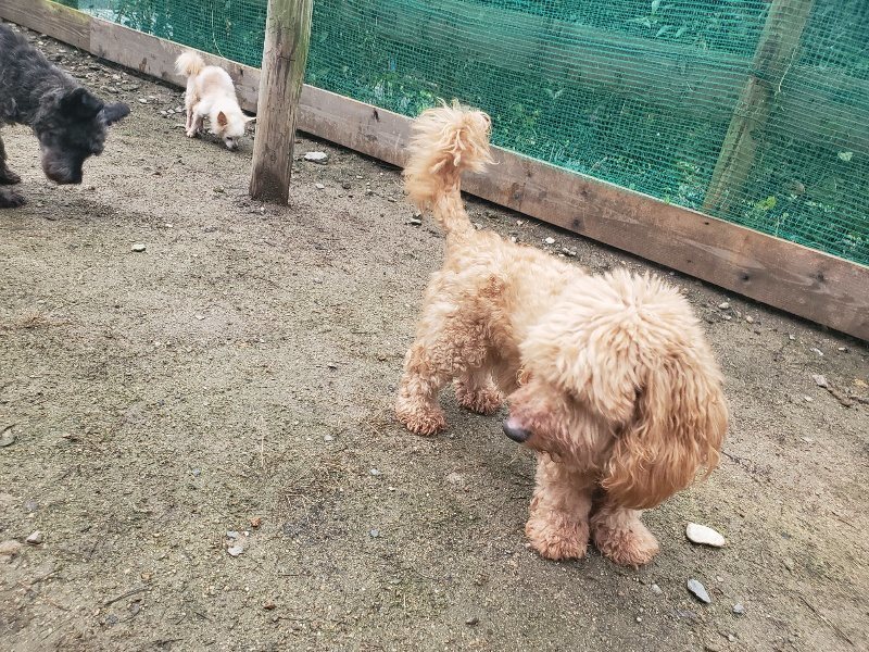 f:id:roukenhome-ann:20191029200414j:plain f:id:roukenhome-ann:20191029200414j:plain
