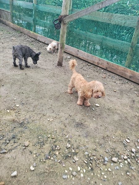 f:id:roukenhome-ann:20191029200421j:plain f:id:roukenhome-ann:20191029200421j:plain