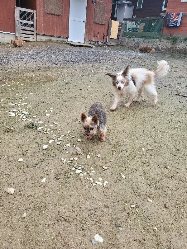 f:id:roukenhome-ann:20191029200431j:plain f:id:roukenhome-ann:20191029200431j:plain