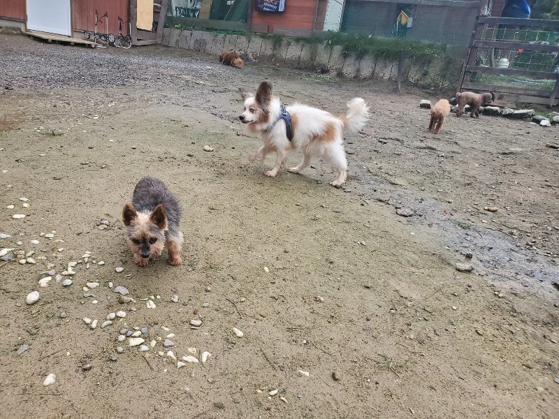 f:id:roukenhome-ann:20191029200500j:plain f:id:roukenhome-ann:20191029200500j:plain