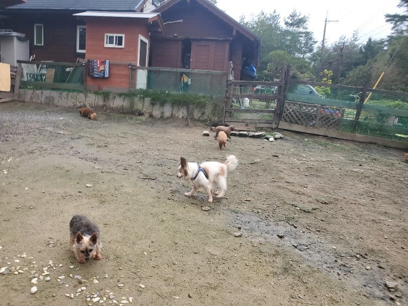 f:id:roukenhome-ann:20191029200516j:plain f:id:roukenhome-ann:20191029200516j:plain