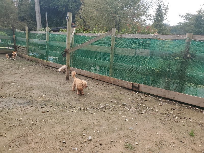 f:id:roukenhome-ann:20191029200525j:plain f:id:roukenhome-ann:20191029200525j:plain