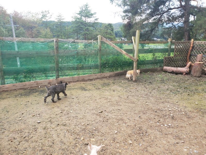 f:id:roukenhome-ann:20191029200536j:plain f:id:roukenhome-ann:20191029200536j:plain