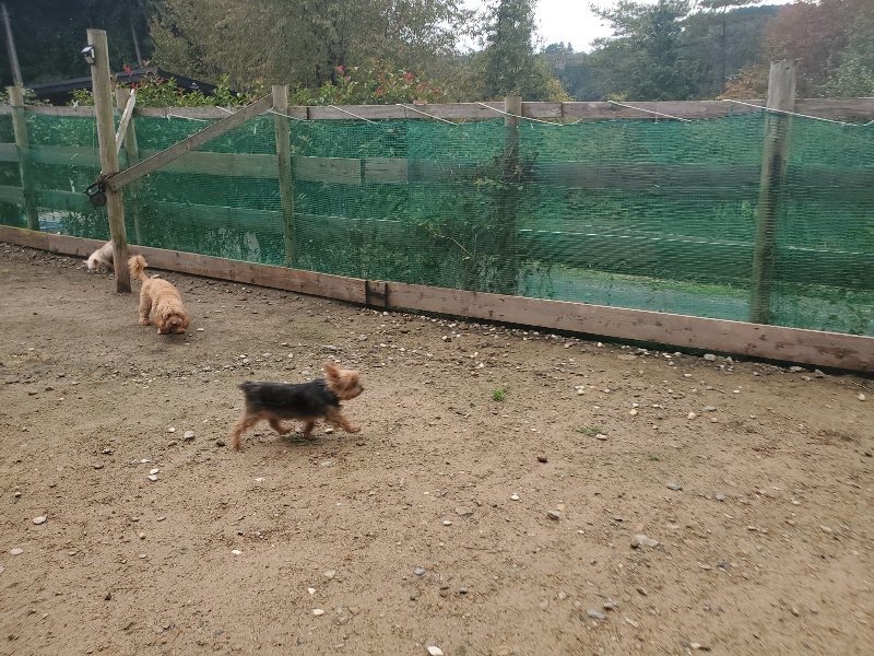 f:id:roukenhome-ann:20191029200543j:plain f:id:roukenhome-ann:20191029200543j:plain