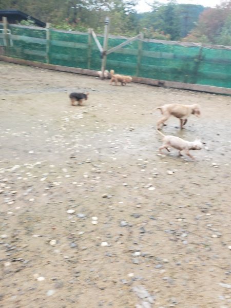 f:id:roukenhome-ann:20191029200549j:plain f:id:roukenhome-ann:20191029200549j:plain