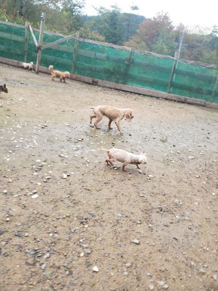 f:id:roukenhome-ann:20191029200555j:plain f:id:roukenhome-ann:20191029200555j:plain