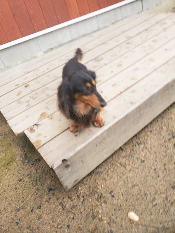 f:id:roukenhome-ann:20191029200610j:plain f:id:roukenhome-ann:20191029200610j:plain