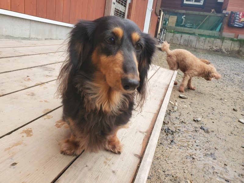 f:id:roukenhome-ann:20191029200620j:plain f:id:roukenhome-ann:20191029200620j:plain